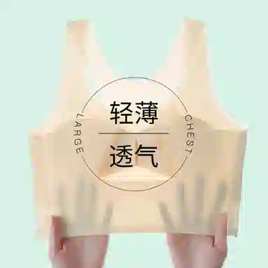 二三二三 美背速干吸汗清爽排湿抗菌柔软亲肤舒适百搭文胸 女款