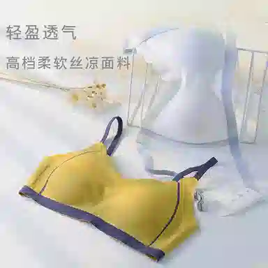 二三二三 提拉无痕裸感矫正调整型收副乳防下垂聚拢大胸显小无钢圈美背塑身文胸 女款