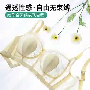 二三二三 无痕舒适内衣女士超薄款兔子耳朵全罩杯收副乳防下垂防走光聚拢无钢圈文胸 女款 礼盒装