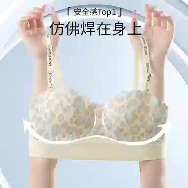 二三二三 优雅豹纹性感内衣无痕亲肤柔软抑菌舒适聚拢收副乳纯欲胸罩可调节肩带透气吸汗时尚百搭文胸 女款