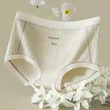 二三二三 抗菌裆性感透气大码三角内裤 女款 组合装