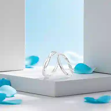 BLANK IN BLANK Ins 999