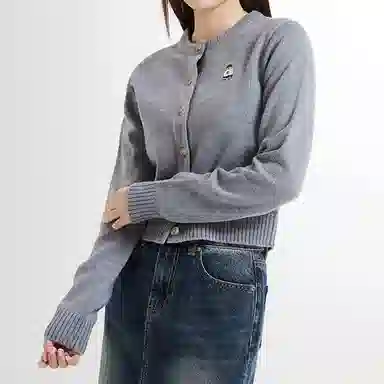 SPAO