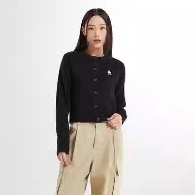 SPAO