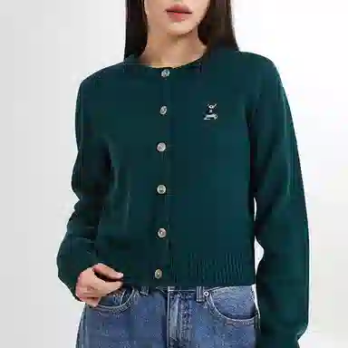 SPAO