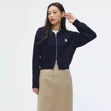 SPAO