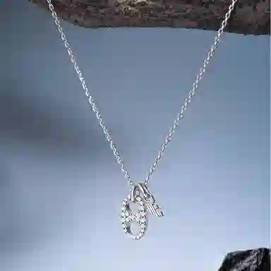 Emporio Armani Elegant Silver Necklace