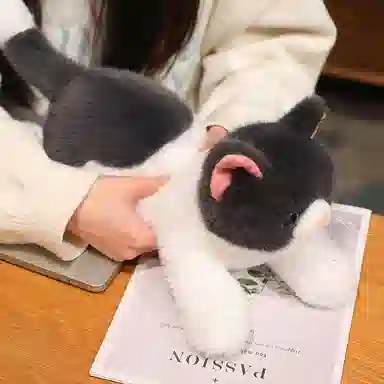 Tak bebe 50cm70cm120cm