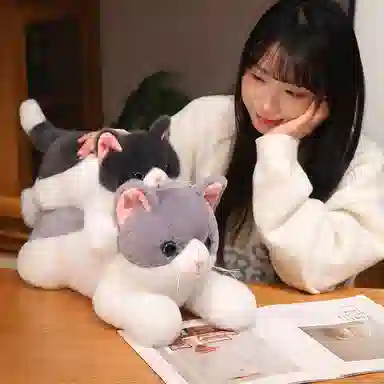 Tak bebe 50cm70cm120cm