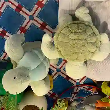 Tak bebe 50cm60cm70cm