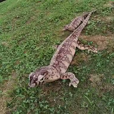 Tak bebe 75cm140cm200cm