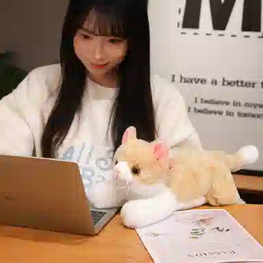 Tak bebe 50cm70cm120cm