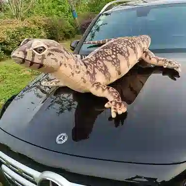 Tak bebe 75cm140cm200cm