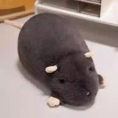 Tak bebe 18cm35cm65cm