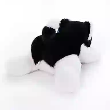 Tak bebe 33cm40cm50cm