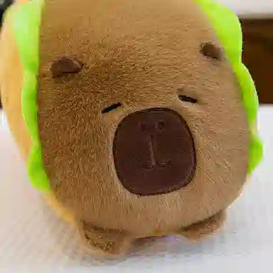 Tak bebe Round Capybara Plush Toy