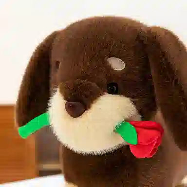 Tak bebe 35cm50cm65cm