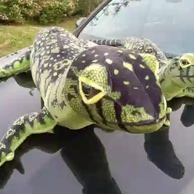 Tak bebe 75cm140cm200cm