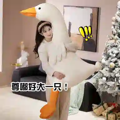 Tak bebe 60cm105cm135cm175cm