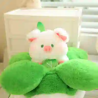 Tak bebe 33355070cm162535cm