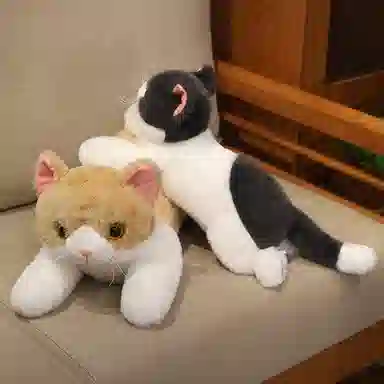 Tak bebe 50cm70cm120cm