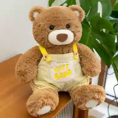 Tak bebe 30cm40cm50cm