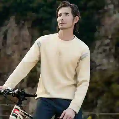 富铤 学院运动风字母印花弹力易打理圆领长袖卫衣 男款 卡其