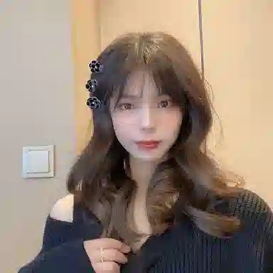 彤彤兔 山茶花 复古轻奢高级感优雅气质 发夹 女款