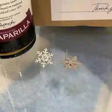 彤彤兔 雪花 小众设计感个性简约气质 合金 耳钉 女款