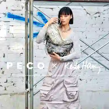 PECO Keith Haring 942L