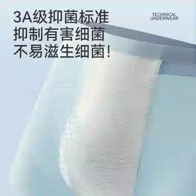 MIIOW 6