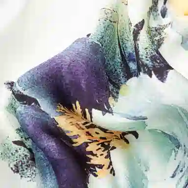 上海故事 真丝方巾 春望 桑蚕丝 丝巾 女款 礼盒装