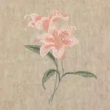 上海故事  高级感刺绣纯羊毛小围巾 兰花刺绣 女款 礼盒装