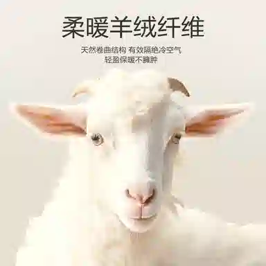 恒源祥 鸡心领胸垫一体打底保暖上装 女款