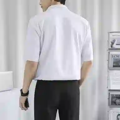 寻星记 美式韩版冰丝男士夏季高级感抗皱免烫商务休闲短袖衬衣衬衫 男女同款