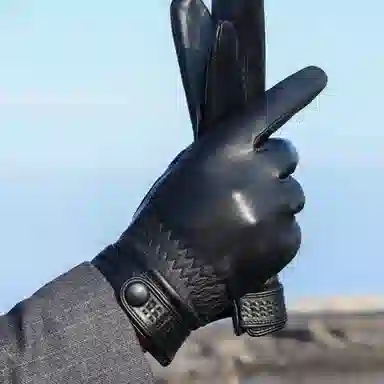 优幽兰 摩托车学生骑行真皮防风防寒东北加厚骑车分指五指滑雪保暖穿搭 实用通勤便携 手套 男款