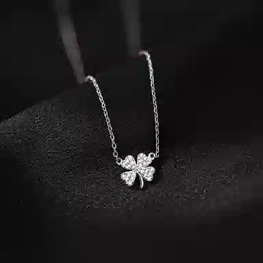 MGS 999 ins
