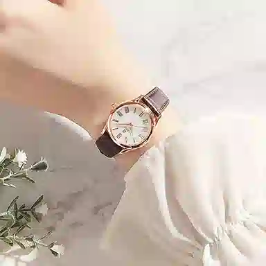 ERNEST BOREL 28mm LGR708N-251BR