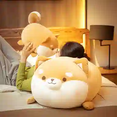 35cm50cm