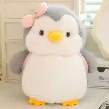 25cm