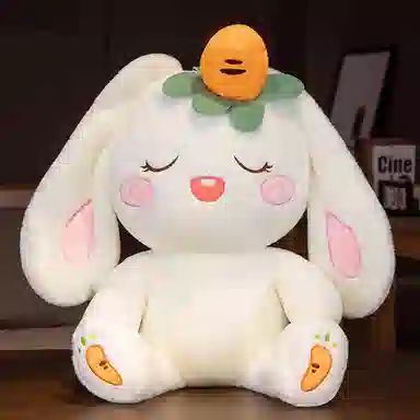 35cm55cm