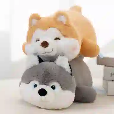 40cm50cm