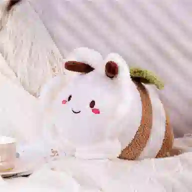 30cm