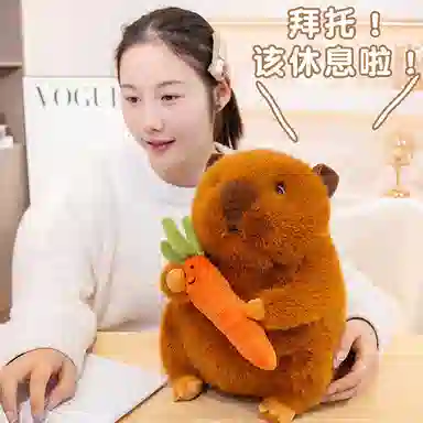 25cm30cm45cm