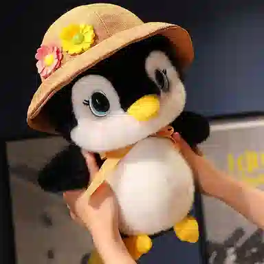 25cm35cm