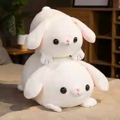 45cm 55cm