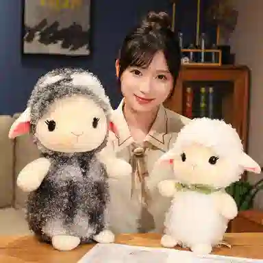 25cm35cm50cm