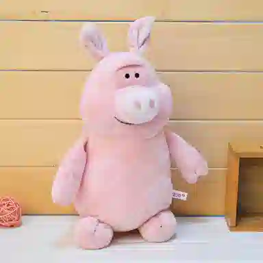 20cm30cm