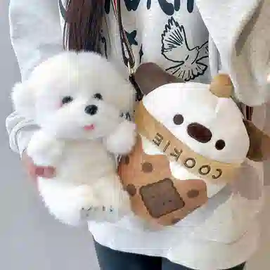25cm