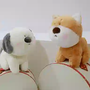 35cm45cm55cm